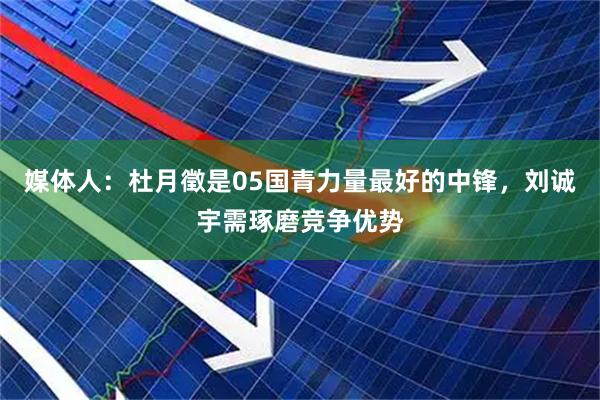 媒体人：杜月徵是05国青力量最好的中锋，刘诚宇需琢磨竞争优势