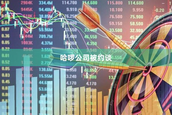 哈啰公司被约谈