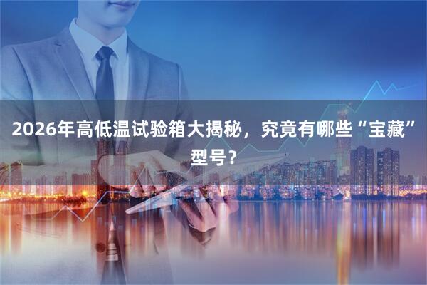 2026年高低温试验箱大揭秘，究竟有哪些“宝藏”型号？